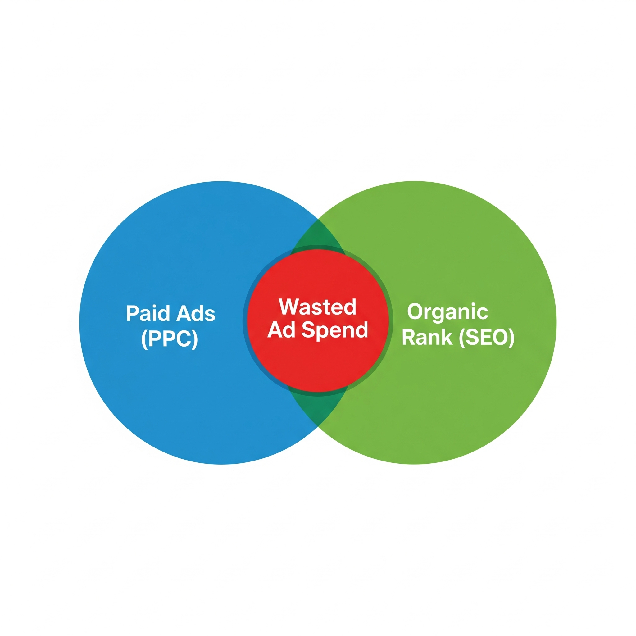 Are Your Google Ads Wasting Money on Clicks You Already Own?